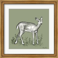 Framed Watercolor Pencil Forest color XII-Fawn 2