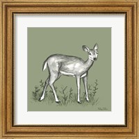 Framed Watercolor Pencil Forest color XII-Fawn 2