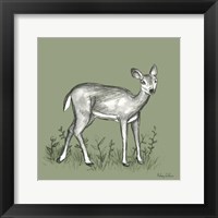 Watercolor Pencil Forest color XII-Fawn 2 Framed Print