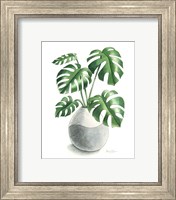 Framed 'Potted Exotics II' border=