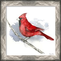 Framed 'Birds & Branches I-Cardinal' border=