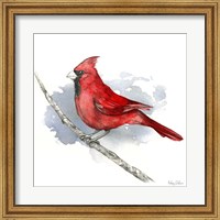 Framed Birds & Branches I-Cardinal