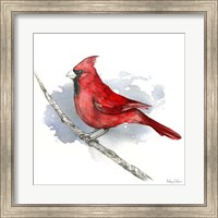 Framed Birds & Branches I-Cardinal