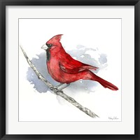 Framed Birds & Branches I-Cardinal
