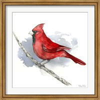 Framed Birds & Branches I-Cardinal