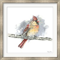 Framed Birds & Branches II-Female Cardinal