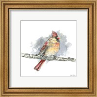 Framed 'Birds & Branches II-Female Cardinal' border=