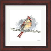 Framed 'Birds & Branches II-Female Cardinal' border=