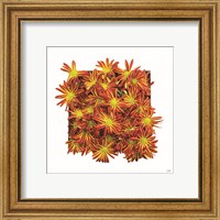 Framed 'Floral Pop IV' border=