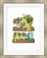 Framed Plant Lover Shelves