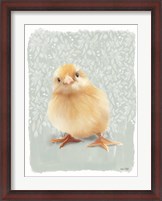 Framed Spring Chick II