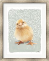 Framed Spring Chick II