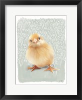 Framed Spring Chick II