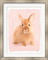 Framed Spring Bunny