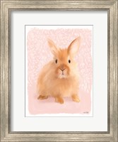Framed Spring Bunny