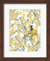 Framed Yellow Spring Finch