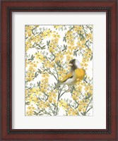 Framed Yellow Spring Finch