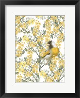 Framed Yellow Spring Finch