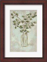 Framed Eucalyptus