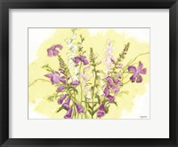 Framed Purple Flowers
