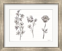 Framed Floral Trio