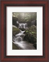 Framed Rickett's Waterfall