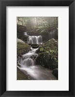 Framed Rickett's Waterfall