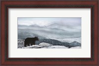 Framed Cascade Mountain Bear