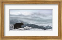 Framed Cascade Mountain Bear