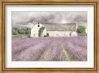 Framed Shades of Lavender and Gray