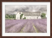 Framed Shades of Lavender and Gray