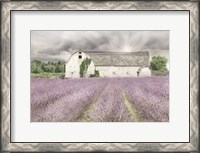 Framed Shades of Lavender and Gray