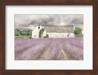 Framed Shades of Lavender and Gray