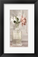 Framed Cottage Peach Rose