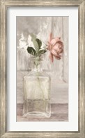 Framed Cottage Peach Rose