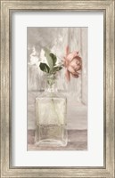Framed Cottage Peach Rose