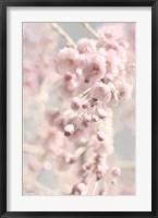 Framed Weeping Cherry