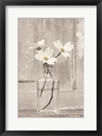 Framed Dogwood Blossoms