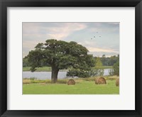 Framed Summer Hay Harvest