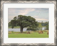 Framed Summer Hay Harvest