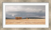 Framed Stormy Day Harvest I