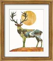 Framed Forest Deer