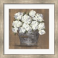 Framed Heavenly Hydrangeas I