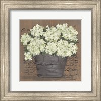 Framed Heavenly Hydrangeas II