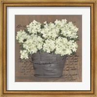 Framed Heavenly Hydrangeas II