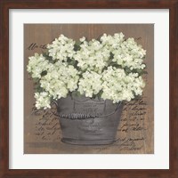 Framed Heavenly Hydrangeas II