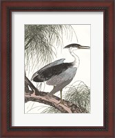 Framed Perched Heron