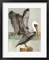 Framed Brown Pelican 2