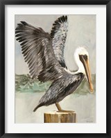 Framed Brown Pelican 2