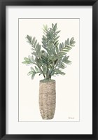 Foliage in Woven Pot 2 Framed Print